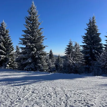 Pod Sjezdovkou Lysa Hora Horni Namesti Krkonose Lumi Apartment Rokytno (Liberec)