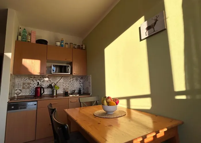 Pod Sjezdovkou Lysa Hora Horni Namesti Krkonose Lumi Appartement *
