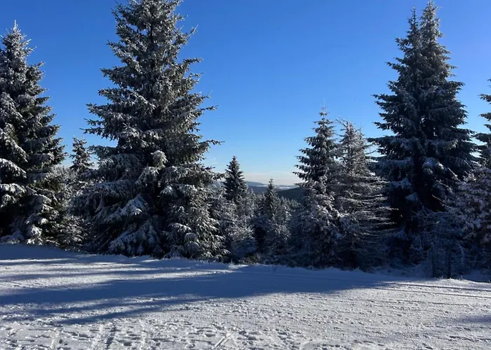 Pod Sjezdovkou Lysa Hora Horni Namesti Krkonose Lumi Appartement Rokytno (Liberec)